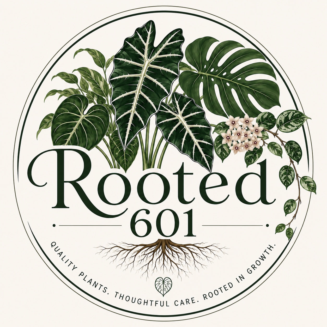 Rooted 601 botanical logo